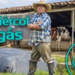 Descubre el sorprendente secreto para convertir estiércol en un valioso sustrato de cultivo