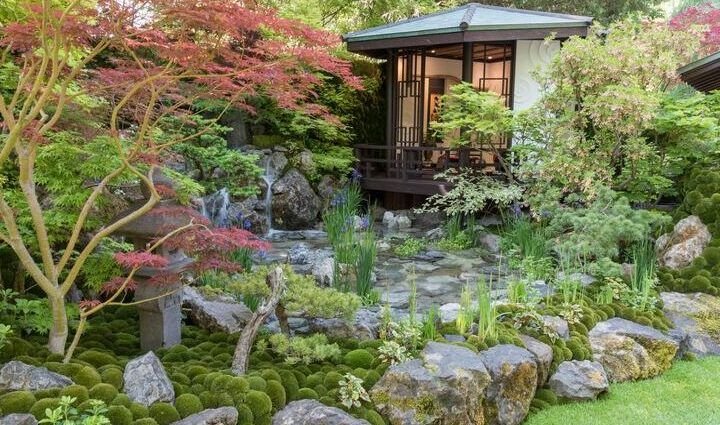 explora las mejores opciones de plantas para crear un jardin al estilo japones