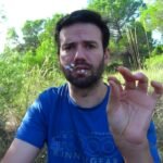 Descubre cómo plantar ajedreas en tu jardín y disfrutar de sus beneficios