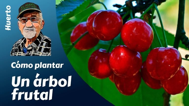 Cómo plantar serbales en tu jardín