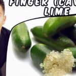 Descubre por qué el finger lime es el caviar de los cítricos que todos están deseando tener en su jardín