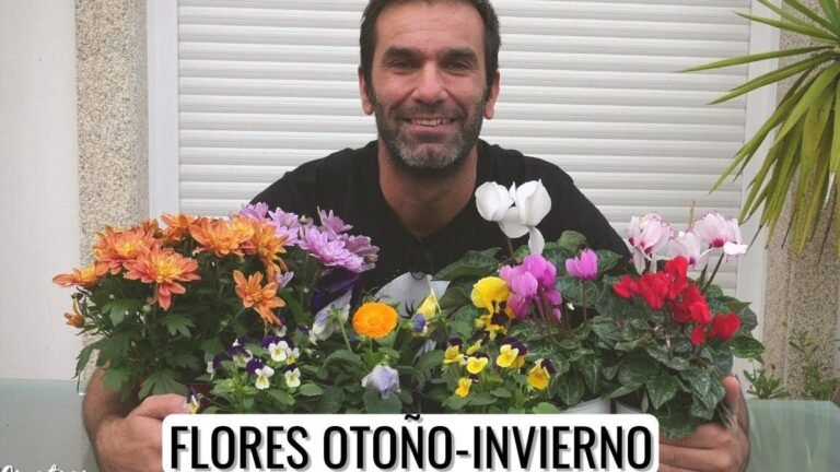 florecen otono