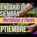 florecen septiembre