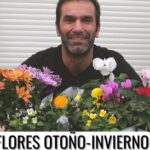 Descubre las Mejores Flores para Plantar en Invierno: macetas con crisantemos, ciclámenes, pensamientos y flores coloridas sostenidas por una persona.