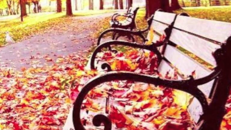 Descubre los 15 secretos de jardinería de mayo que transformarán tus flores en un espectáculo deslumbrante