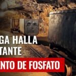Descubre el secreto del fosfato de roca para transformar tu jardín en un paraíso verde
