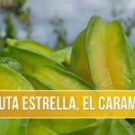 Guía completa: Cómo plantar carambolos en tu jardín