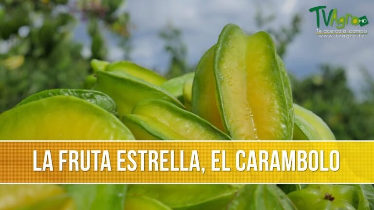 Guía completa: Cómo plantar carambolos en tu jardín