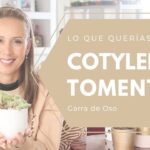 Guía paso a paso: cómo plantar cotyledons y cuidarlos correctamente