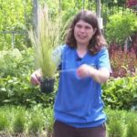 Descubre el secreto para cultivar hierbas altas en macetas y transforma tu hogar en un oasis verde mientras una persona muestra una maceta con hierba ornamental en un vivero.