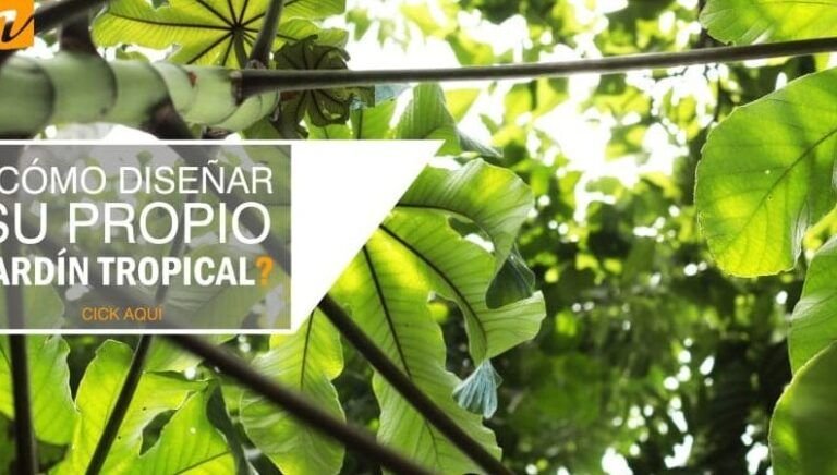 guia completa como crear un hermoso jardin de plantas para exterior
