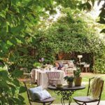 Guía completa: Cómo crear un jardín de plantas medicinales en casa.