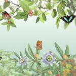 Guía completa: Cómo crear un jardín de plantas para atraer aves y disfrutar de su presencia en tu hogar