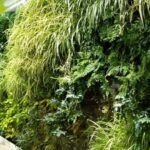Guía completa: Cómo crear un jardín vertical utilizando tela geotextil