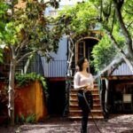 Guía completa: Cómo cultivar plantas en balcones de forma efectiva