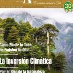 Guía completa: Cómo detectar y solucionar la sobrecarga de nutrientes en el suelo