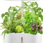 Guía completa: Cómo elegir la hidroponía perfecta para tus plantas