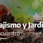 Guía completa: Cómo plantar salicornias en tu jardín de forma sencilla