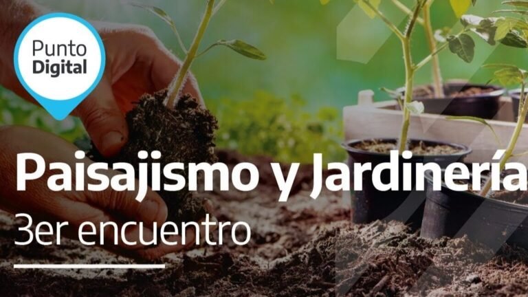 Guía completa: Cómo plantar salicornias en tu jardín de forma sencilla