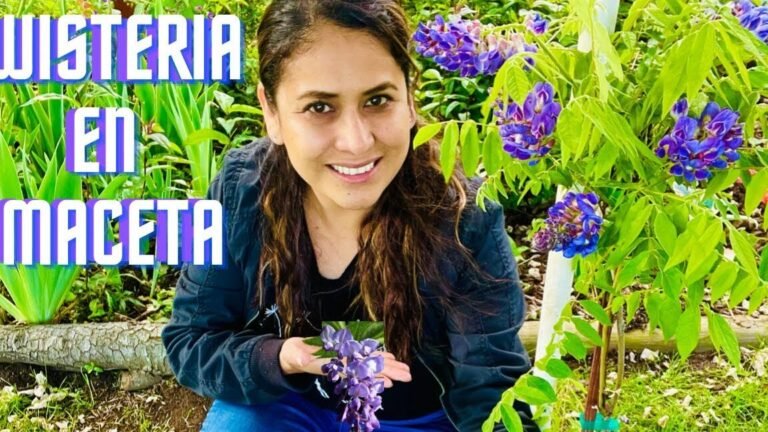 Guía completa: Cómo plantar y cuidar glicinas en tu jardín