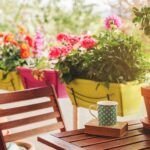Guía completa: Cómo proteger tus plantas utilizando invernaderos