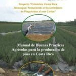 Guía completa: Cómo recolectar y almacenar de manera eficiente frutas tropicales