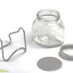 Guía completa: Cómo sembrar, recolectar y almacenar semillas de chía en casa