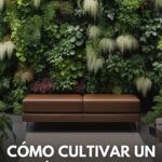 Guía completa para crear un jardín vertical con plantas suculentas