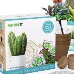 Guía completa para plantar cactus y suculentas desde semillas