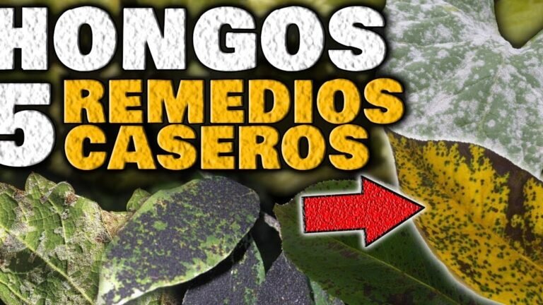 Guía completa para plantar magnolias en tu jardín ¡Sorprendente!