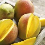 Guía completa para plantar tu propia mata de aguacate en casa