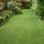 Guía completa para plantar y cuidar tu césped perfecto