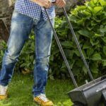 Guía completa para sembrar césped 4 estaciones en tu jardín