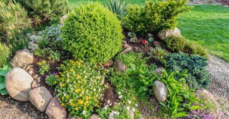 guia completa para sembrar orquideas crea tu propio jardin en casa