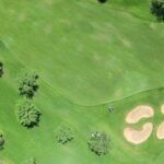 Guía completa para sembrar semillas de césped bermuda en tu jardín