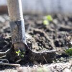 Guía completa sobre cómo prevenir el exceso de acidez en el suelo de tu jardín