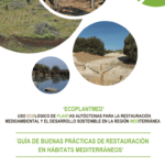 Guía completa sobre cómo sembrar semillas en terrenos llanos: Pasos y recomendaciones