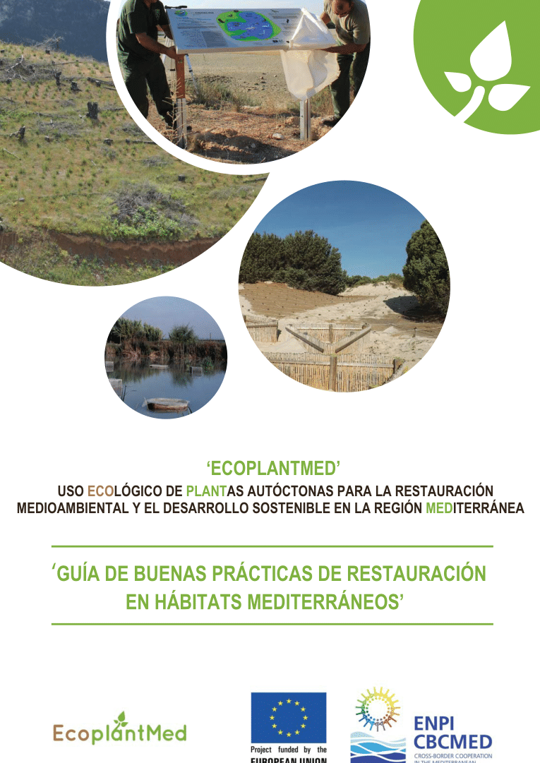 guia completa sobre como sembrar semillas en terrenos llanos pasos y recomendaciones
