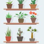 Guía para plantar en macetas de madera: consejos y trucos