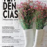 Guía para plantar gladiolos en Argentina: todo lo que necesitas saber