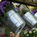 Guía paso a paso: Cómo crear un jardín de plantas para atraer y proteger a las abejas