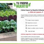 Guía paso a paso: Cómo crear un jardín vertical con riego automático para tu hogar