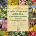 Guía práctica: Cómo plantar una rama de higo