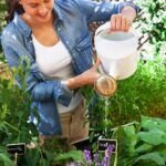 Guía práctica para plantar aloe vera en tu jardín