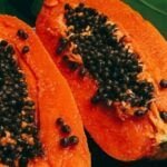 Guía práctica para plantar papaya: paso a paso