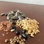 Guía práctica para plantar semillas en frascos de vidrio