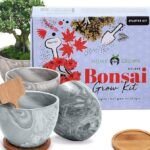 Guía práctica para plantar tu propio árbol de cerezo japonés