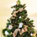 Guía práctica para plantar tu propio pino de Navidad en casa