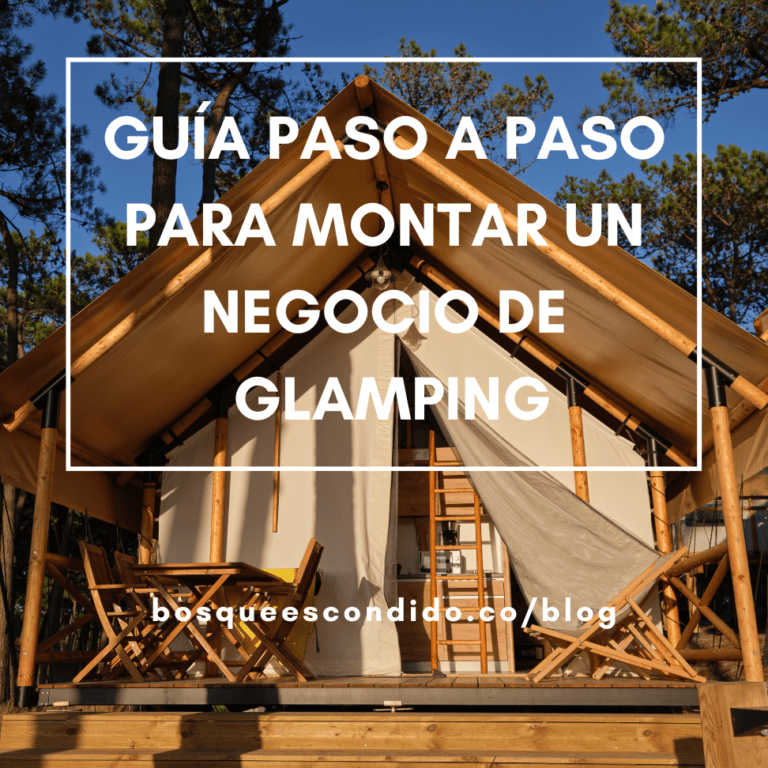 guia practica para plantar un arbol paso a paso