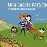 Guía práctica para sembrar semillas en zonas de lluvias intensas